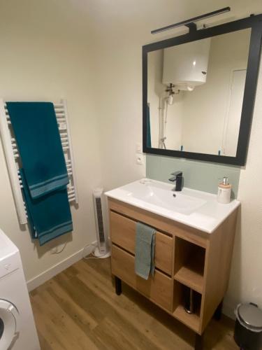 une salle de bain avec un lavabo et un miroir dans l'établissement Appartement cosy dans la bastide, à Sainte-Foy-la-Grande
