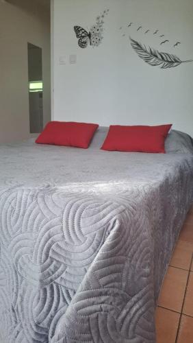 a bedroom with a bed with a red pillow at Studio bord de mer in Schœlcher