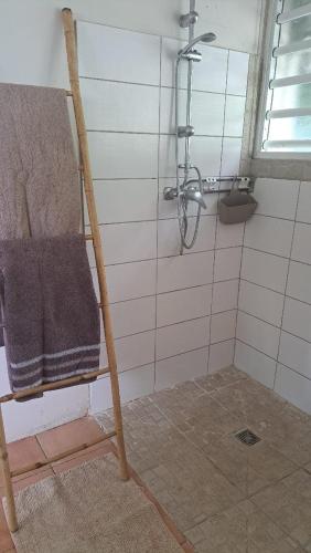 a towel rack in a bathroom with a shower at Studio bord de mer in Schœlcher