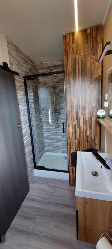 La salle de bains est pourvue d'une douche et d'un lavabo blanc. dans l'établissement Maison de jardin 4 personnes, à Montpeyroux