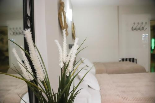 a plant in a vase next to a table at Hostal Cuevas in Fuengirola