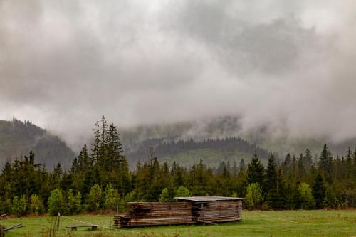 an old cabin in a field with trees and clouds at Leśniczówka u Zięby in Kościelisko