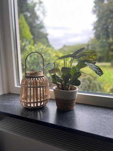 a plant and a lantern sitting on a window sill at Kip en Hei in Schijf