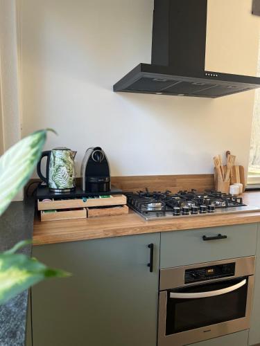 a kitchen with a stove and a counter top at Kip en Hei in Schijf