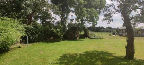 a field with a tree and a house in the distance at Kanevedenn in Val Couesnon