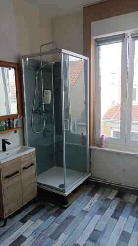 une salle de bain avec douche et lavabo dans l'établissement Appartement sur la digue avec vue mer exceptionnelle !, à Bray-Dunes