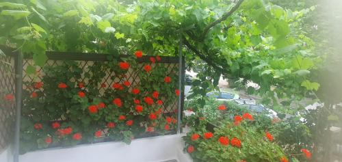 Taman di luar Relax Holistic House