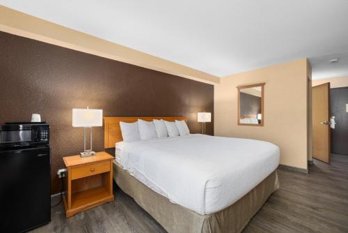 a hotel room with a large bed and a television at Ramada by Wyndham Portland in Portland