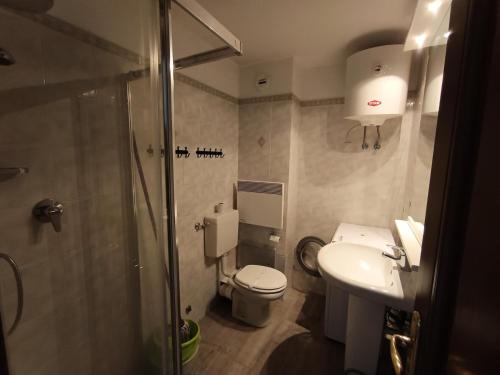 łazienka z toaletą, umywalką i prysznicem w obiekcie Résidence Korossol - Joli duplex au coeur du village MAE-8634 w mieście Montgenèvre