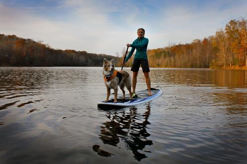 a woman and a dog on a paddle board in the water at Water Hideout - Floating Secret Spot in Mazury in Wojnowo
