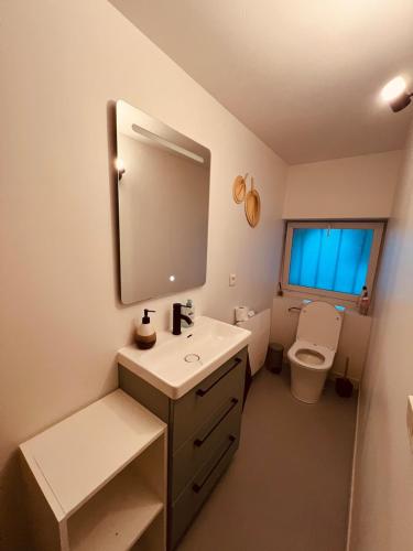 a bathroom with a sink and a toilet and a mirror at Appartement Biarritz plage Milady surf in Biarritz