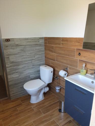 a bathroom with a toilet and a sink at Apartmán Vilovka Slavonice in Slavonice