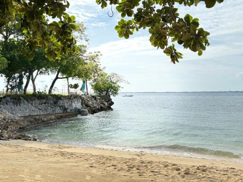 a sandy beach with trees and the ocean at 300 Mbps WiFi , Netflix , Coffee machine , Tambuli in Lapu Lapu City