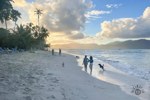 a group of people walking on the beach with dogs at Villavida Boutique Hotel - La Playita in Las Galeras
