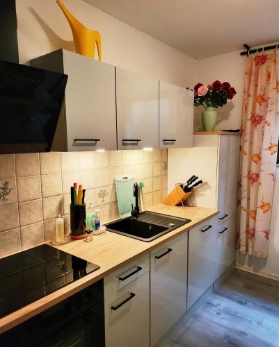 Η κουζίνα ή μικρή κουζίνα στο Schonach 2units, mountain-Top in forest, free parking, new kitchen, renovated bathroom, high-speed internet