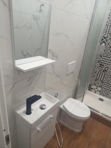 a bathroom with a toilet and a sink and a shower at Camera Appartamento Terminal Traghetti in Genova