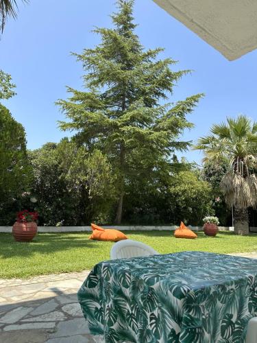 a table and chairs sitting in the grass at Sophies Olive haven in Possidi
