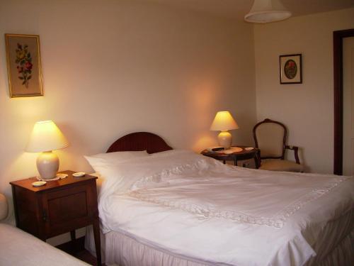 a bedroom with a large white bed with two lamps at Highfield in Hay-on-Wye