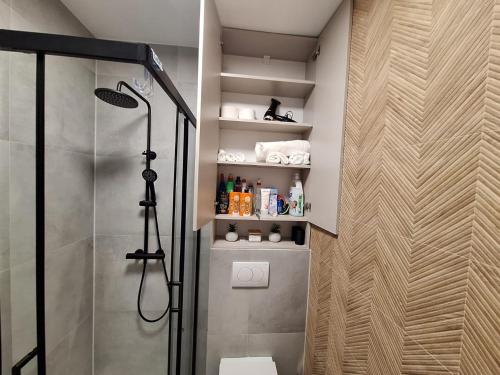 a bathroom with a shower with a glass shower stall at Apartment Riverside in Metković