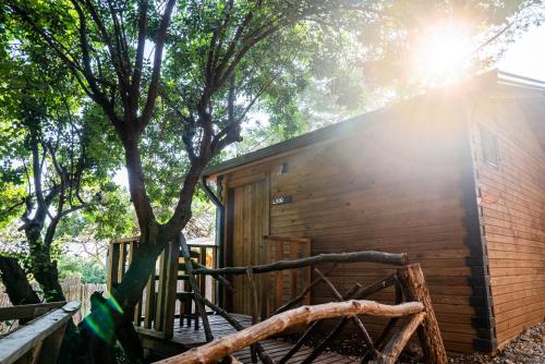 a wooden cabin with a tree in front of it at Reflections Camp in Faralya