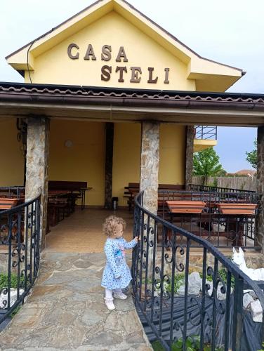Fotografie z fotogalerie ubytování Pensiunea Casa Steli v destinaci Haieu