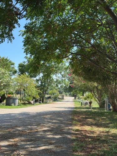 a road with trees on the side of the road at Antonios Apartments in Ulcinj