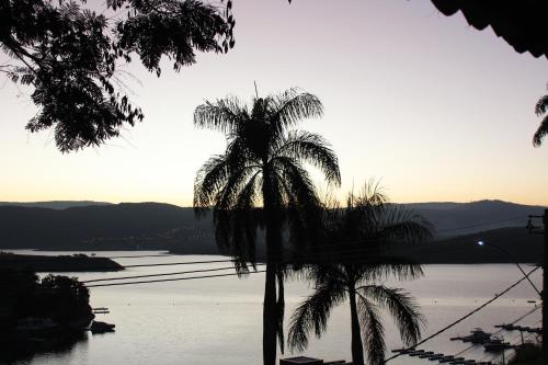 a palm tree sitting next to a body of water at Refúgio Escarpas do Lago in Capitólio