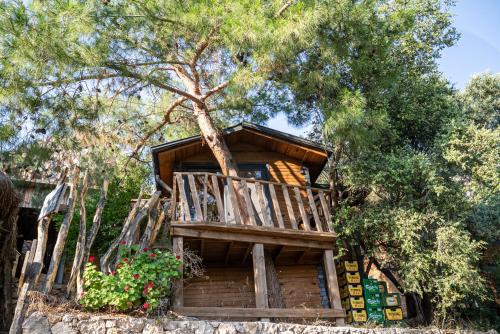 a tree house with a deck in the woods at Reflections Camp in Faralya