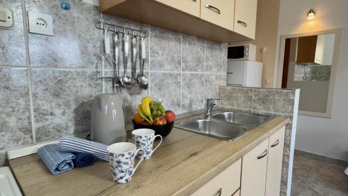 Kuchyň nebo kuchyňský kout v ubytování Apartments Bala