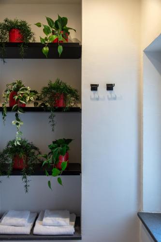 a room with potted plants on a shelf at Fortunella Suites Luxury in Portici