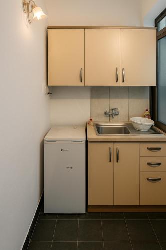 a small kitchen with a refrigerator and a sink at Studio-apartments, rooms with kitchen in Golem
