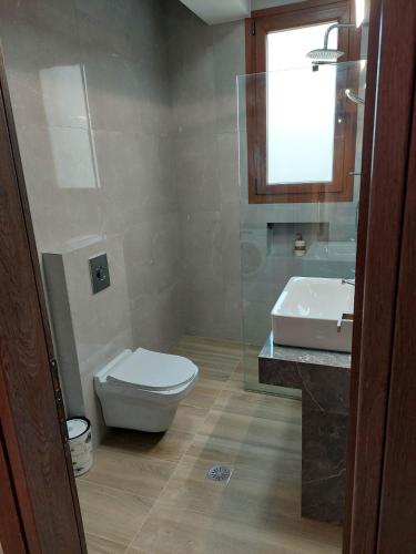 a bathroom with a toilet and a sink at ATHOR IREON with hot tube in Iraion