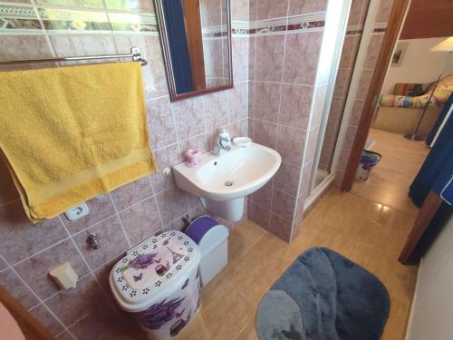 un piccolo bagno con lavandino e WC di Apartment Balatonfenyves - Balaton 18360 a Balatonfenyves