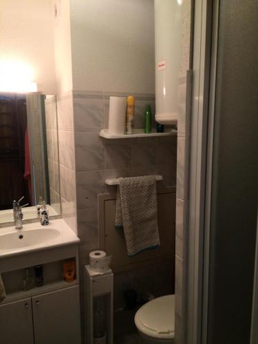 une petite salle de bain avec un lavabo et des toilettes dans l'établissement Chalet D'honorÉ - 2 pièces 4 pers face aux pistes MAE-7714, à Montgenèvre