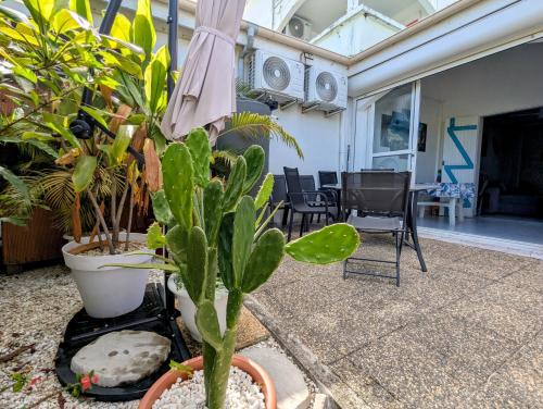 Κήπος έξω από το Rêve Grenadine plage 200m jardin & terrasse