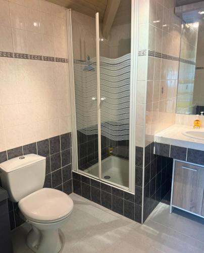 une salle de bain avec toilettes, douche et lavabo dans l'établissement L'Aurore - Terrasse - Duplex - Parking, à Dax