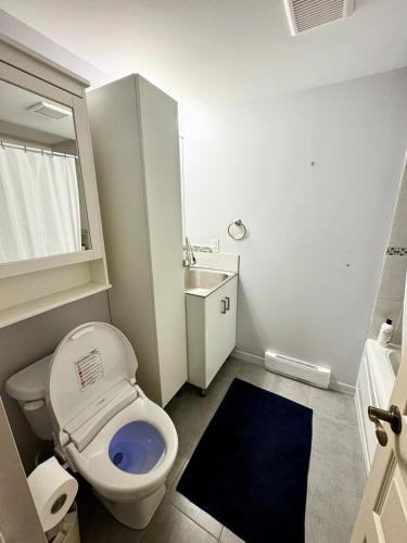 a small bathroom with a toilet and a sink at Fully furnished cozy home in Montréal