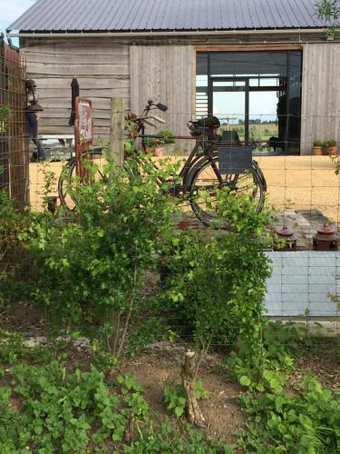 Eeuwenhout vakantiedomeinにある庭