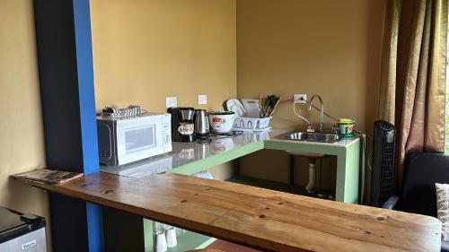 a kitchen with a counter with a microwave and a sink at OXÍGENO Río Celeste in Bijagua