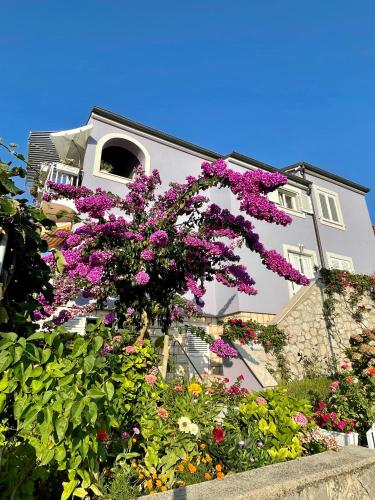 Villa Millefiori - Apartments Mali Lošinj