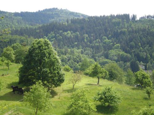 a black horse standing in a field with trees at Hotel Pension Heidi in Dobel