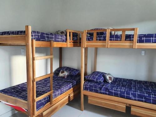 two bunk beds in a room with two cats on them at C&R hostel residência in Salvador