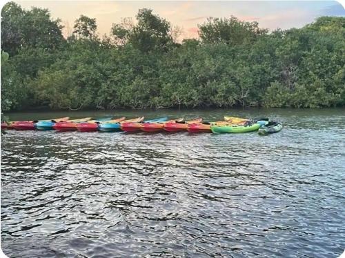 a group of kayaks are lined up on a river at BioBay Suite Los Roires Beach Apartments in Fajardo