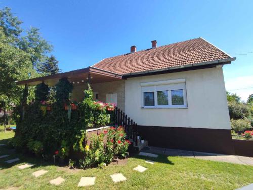 Holiday home in Agard - Velence-See 20586