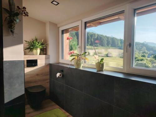 a bathroom with two windows and potted plants on the counter at Suite Orchidee - SalzkammerNest in Bad Ischl