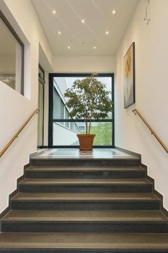a staircase with a potted tree in a window at NonStop Home in Munich