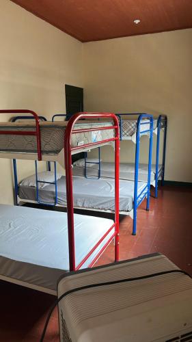 a group of bunk beds in a room at SAM TRAVEL LEON in León
