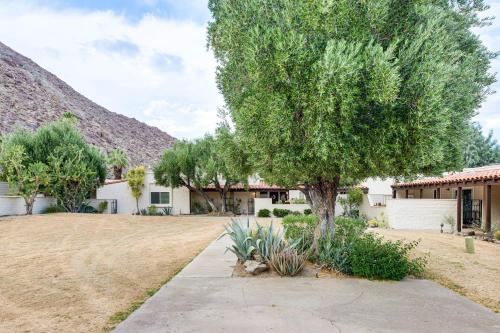 a house with a tree in a yard at 2 Mi to Galleta Meadows Desert Golf Retreat! in Borrego Springs