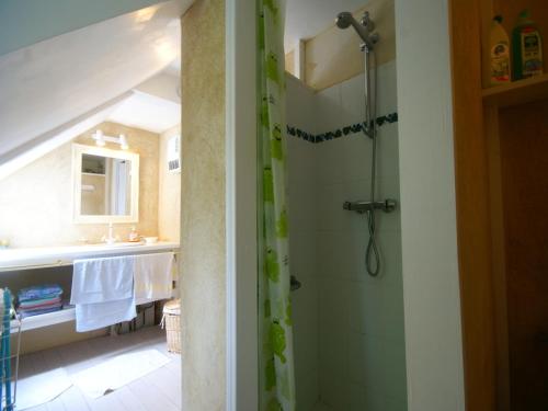 une salle de bain avec douche et lavabo dans l'établissement Vacation Home in Querrien near Roches du Diable, cleaning included, à Querrien
