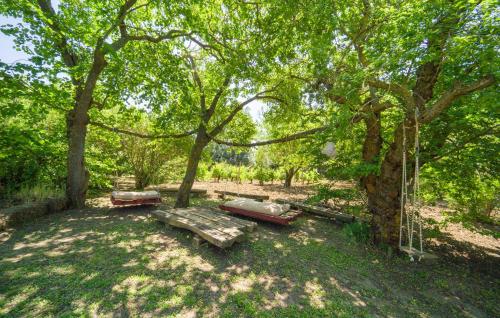 a park with two picnic tables under a tree at Cerasuola in Alia